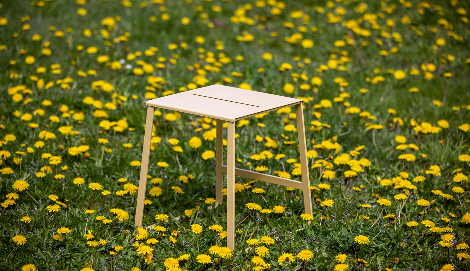 A metal stool for indoors and outdoors is seen on a field of dandelions