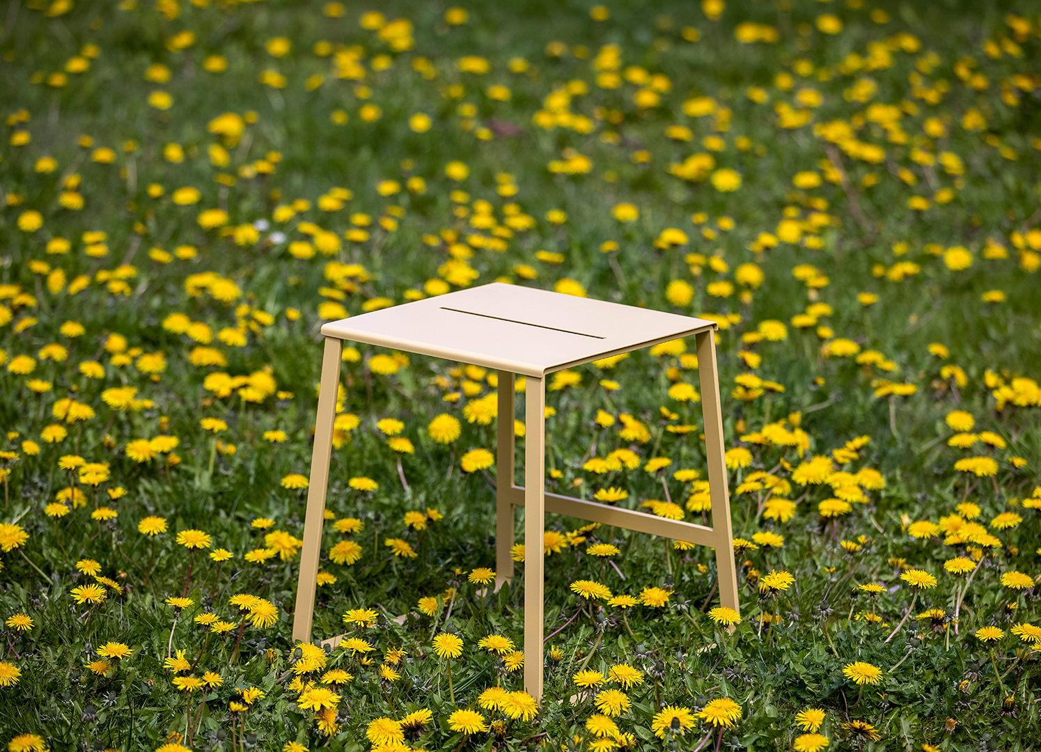 A yellow stool in Danish design stands on a lawn with dandelions