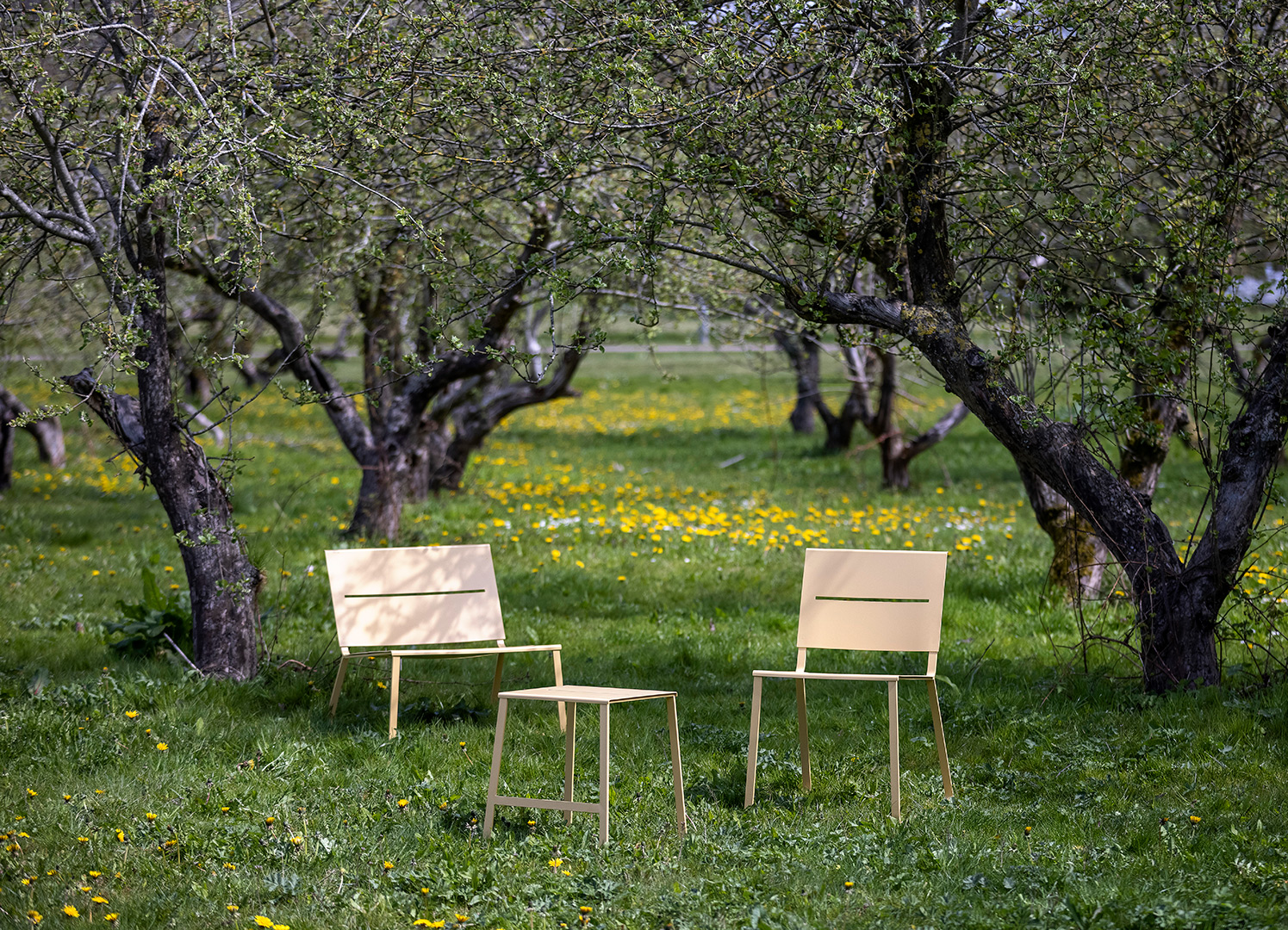 A low lounge chair, a metal chair and metal stool are seen under flowering apple trees