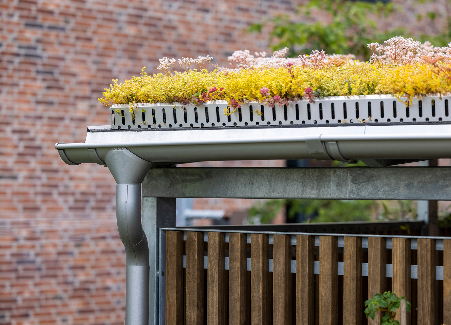 Bin shelter with gutter and sedum roof